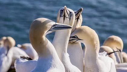 磁县伴游，定制QQ：3494206190微信：act1322