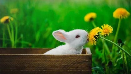 磁县伴游,定制QQ:3494206190微信:act1322